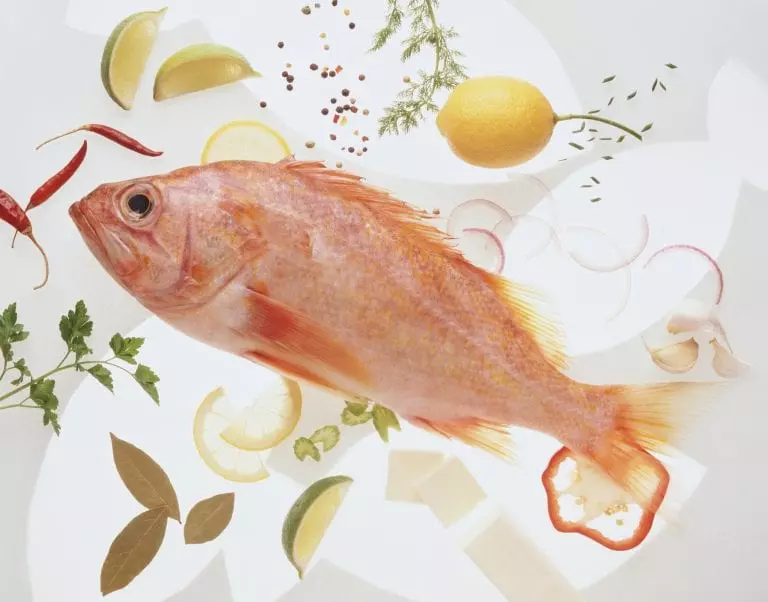 Consuming Fish: Are You Getting Sufficient?